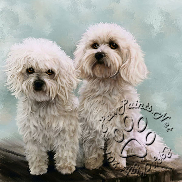 PawPaints digital oil of maggie and rambo